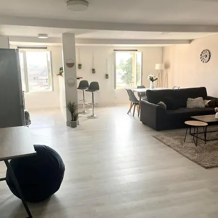 Appartement Spacieux - Anzin Exterior foto